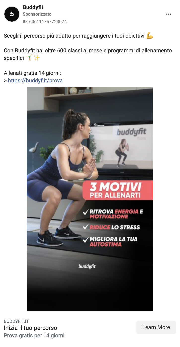 buddyfit pain gain