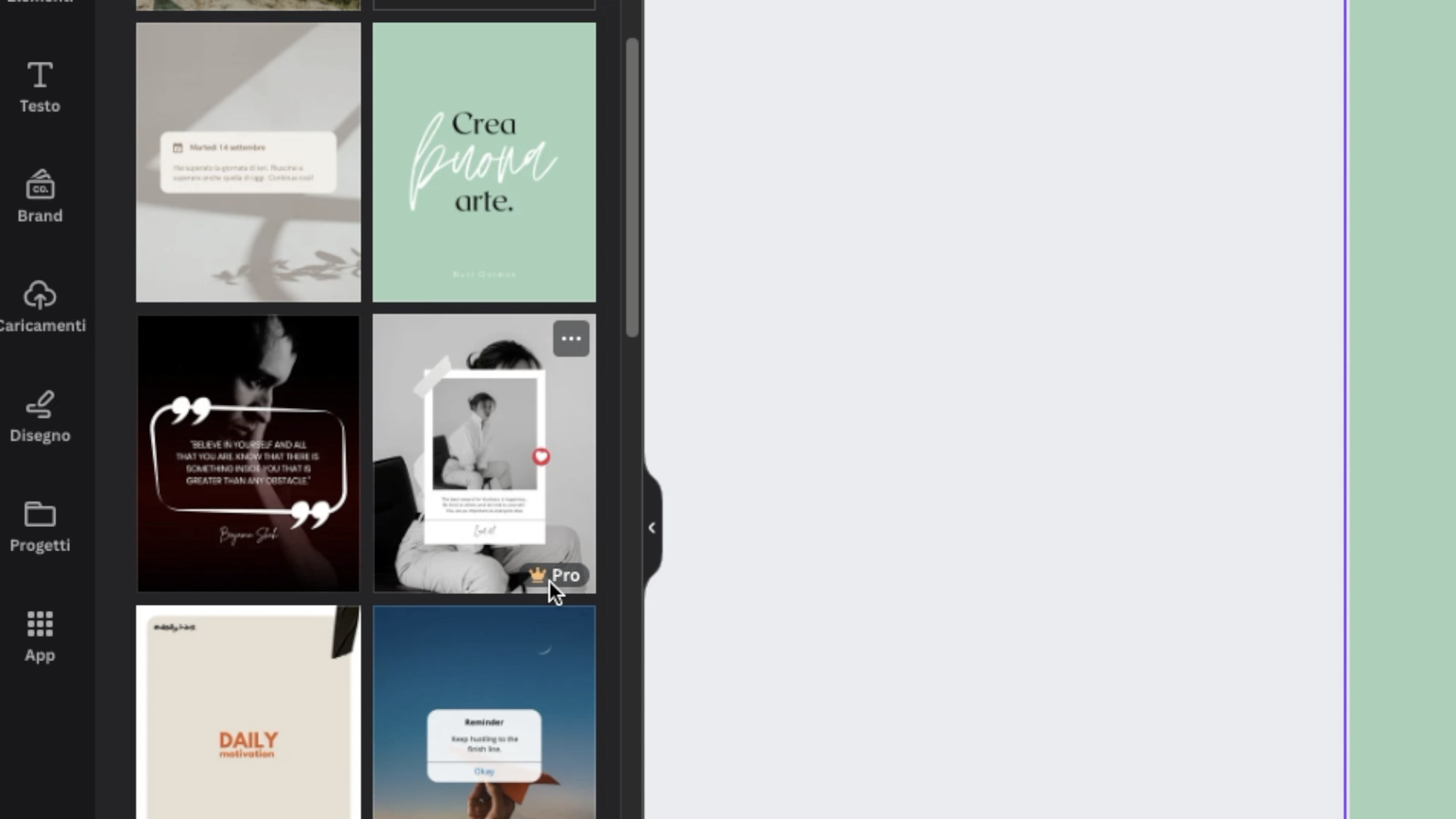 Funzione disponibile con Canva pro